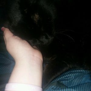 Meet your Posher, Anna